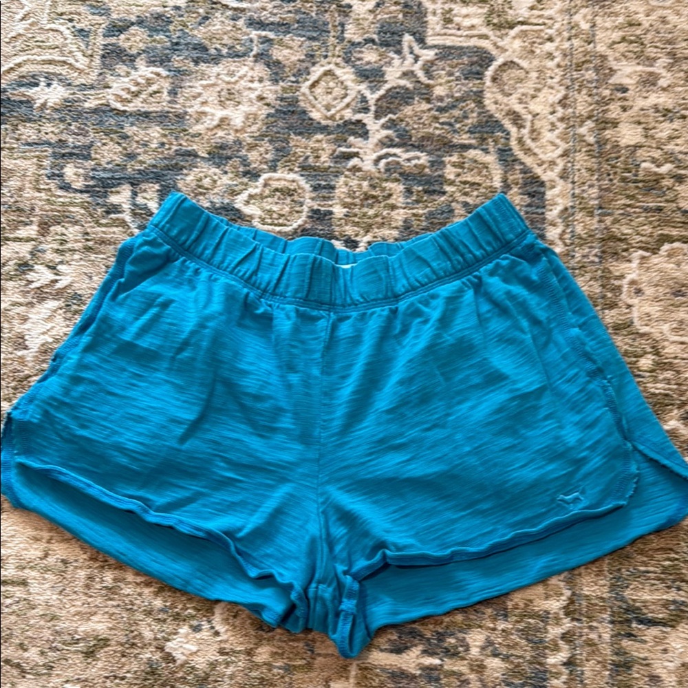 Victoria’s Secret pink shorts size M blue